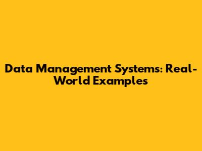 Data Management Systems: Real-World Examples
