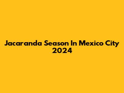 Jacaranda Season In Mexico City 2024