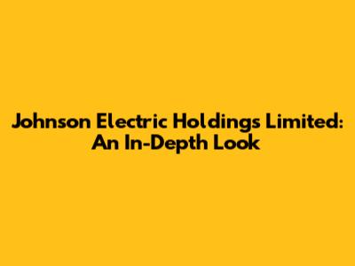 Johnson Electric Holdings Limited: An In-Depth Look