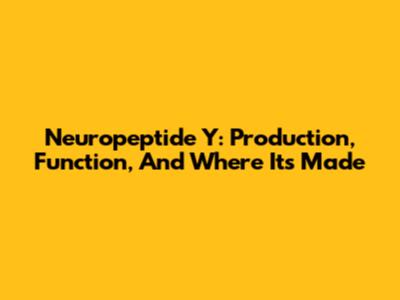 Neuropeptide Y: Production, Function, And Where It's Made