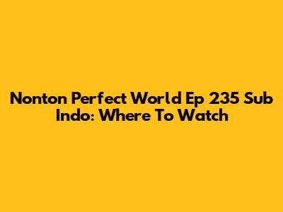 Nonton Perfect World Ep 235 Sub Indo: Where To Watch