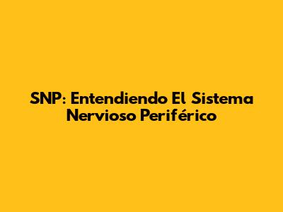 SNP: Entendiendo El Sistema Nervioso Periférico